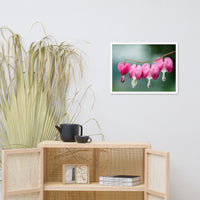 Be Still My Bleeding Heart Floral Nature Photo Framed Wall Art Print
