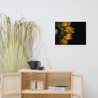 Backside of Sunflower Minimal Floral Nature Photo Framed Wall Art Print
