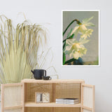 Colorized Daffodils Floral Nature Photo Framed Wall Art Print