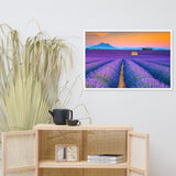Blooming Lavender Field and Sunset Floral Landscape Framed Photo Paper Wall Art Prints
