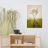 Calming Morning Rural Landscape Framed Photo Paper Wall Art Prints