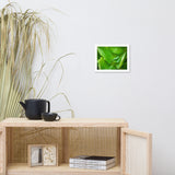 Cupped Droplet Botanical Nature Photo Framed Wall Art Print