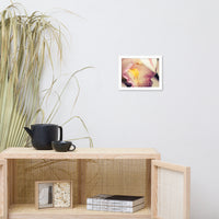 Close-up of Orchid Floral Nature Photo Framed Wall Art Print