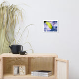 Actias Luna Larvae on Hydrangea Floral Nature Photo Framed Wall Art Print