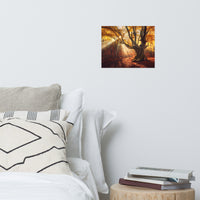 Old Magical Tree in Forest with Glory Rays Landscape Photo Loose Wall Art Prints