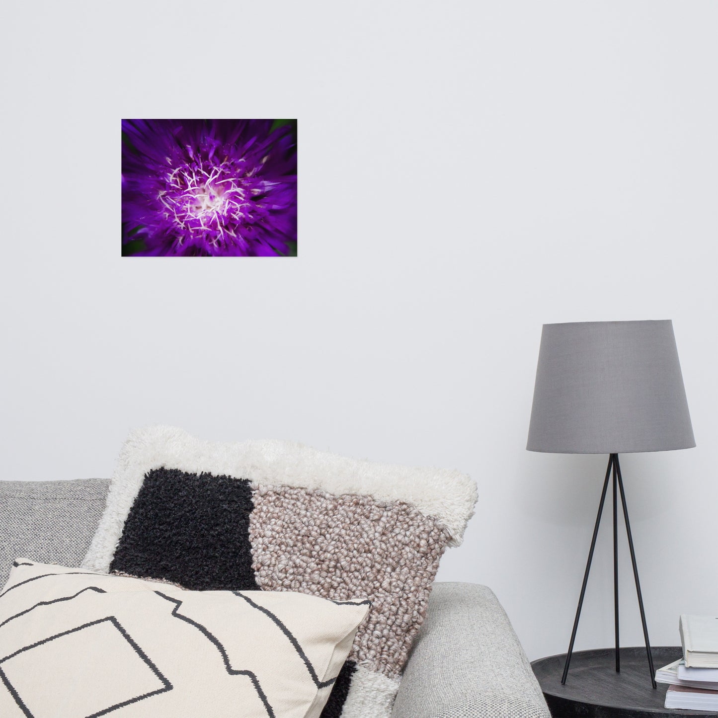 Nature Pictures For Living Room: Dark Purple and White Aster Bloom Close-up - Botanical / Floral / Flora / Flowers / Nature Photograph Loose / Unframed / Frameless / Frameable Wall Art Print - Artwork