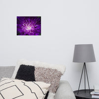 Abstract Flower Floral Nature Photo Loose Wall Art Prints