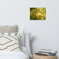 Aged Golden Leaves Botanical Nature Photo Loose Unframed Wall Art Prints