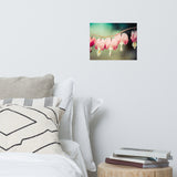 Be Still My Bleeding Heart Colorized Floral Nature Photo Loose Unframed Wall Art Prints