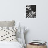 Bloodflowers and Palm Black and White Floral Nature Photo Loose Unframed Wall Art Prints