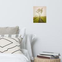 Calming Morning Landscape Photo Loose Wall Art Print