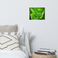 Cupped Droplet Botanical Nature Photo Loose Unframed Wall Art Prints