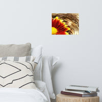 Floating Mum Floral Nature Photo Loose Unframed Wall Art Prints