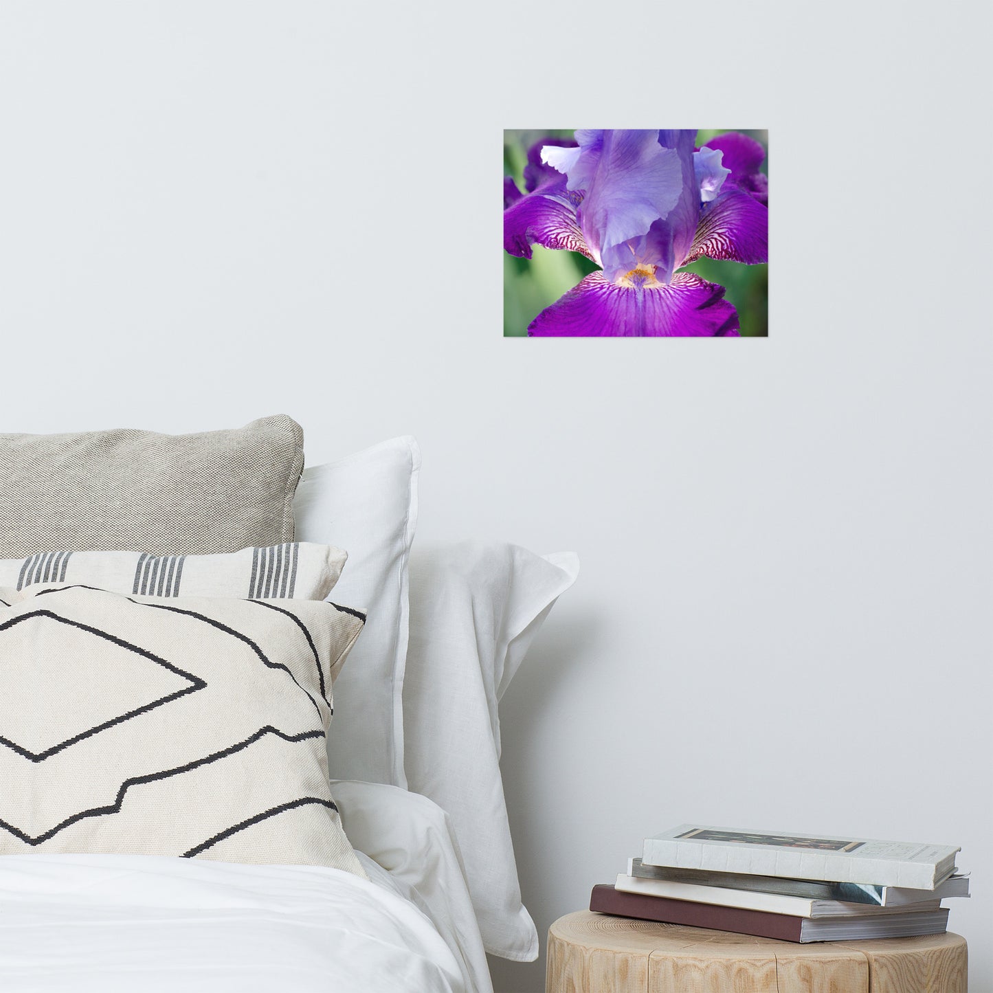 Bedroom Posters Amazon: Glowing Iris - Botanical / Floral / Flora / Flowers / Nature Photograph - Loose / Frameable / Unframed / Frameless Wall Art Print - Artwork