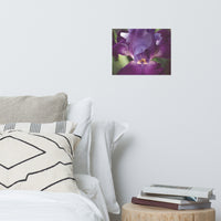 Glowing Iris Moody Midnight Floral Nature Photo Loose Unframed Wall Art Prints