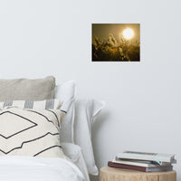 Golden Marsh Weeds Botanical Nature Photo Loose Unframed Wall Art Prints
