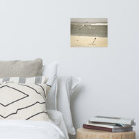 Life at the Shore Wildlife Photo Loose Unframed Wall Art Prints
