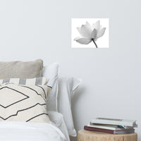 Lotus Flower Black and White Floral Nature Photo Loose Flower Wall Art Print