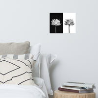 Lotus Flower on Black and White Background Floral Nature Photo Loose Flower Wall Art Print