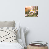 Philadelphia Fleabane Cluster Softened Floral Nature Photo Loose Unframed Wall Art Prints
