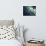 Rain Dropping on Canna Leaf Botanical Nature Photo Loose Unframed Wall Art Prints