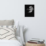 Rose on Black Black and White Floral Nature Photo Loose Unframed Wall Art Prints