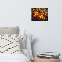 Royal Sunset Lily Floral Nature Photo Loose Unframed Wall Art Prints
