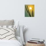 Silhouettes in Sunset Botanical Nature Photo Loose Unframed Wall Art Prints