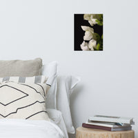 Single Snapdragon Bloom Floral Nature Photo Loose Unframed Wall Art Prints