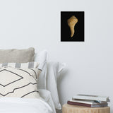 States of Erosion Image 9 Whelk Shell Coastal Nature Photo Loose Unframed Wall Art Prints