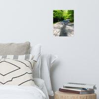 Summer Shadows Botanical Nature Photo Loose Unframed Wall Art Prints