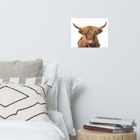 Golden Highland Cow Wildlife / Animal Photograph Loose Wall Art Prints