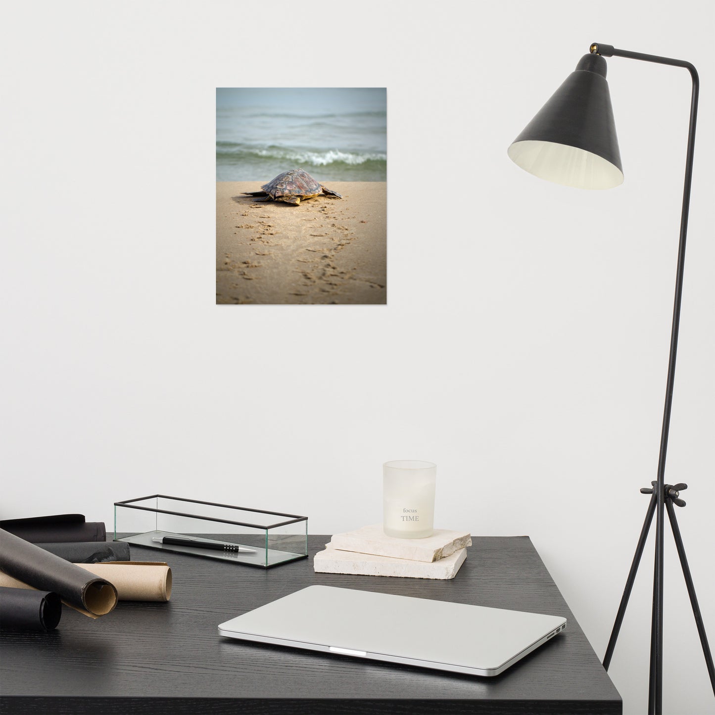 Laundry Room Poster Prints: Sea Turtle Hatchling On The Shore Animal / Wildlife / Coastal / Nature Photograph Unframed / Loose / Frameless / Frameable Wall Art Prints - Artwork