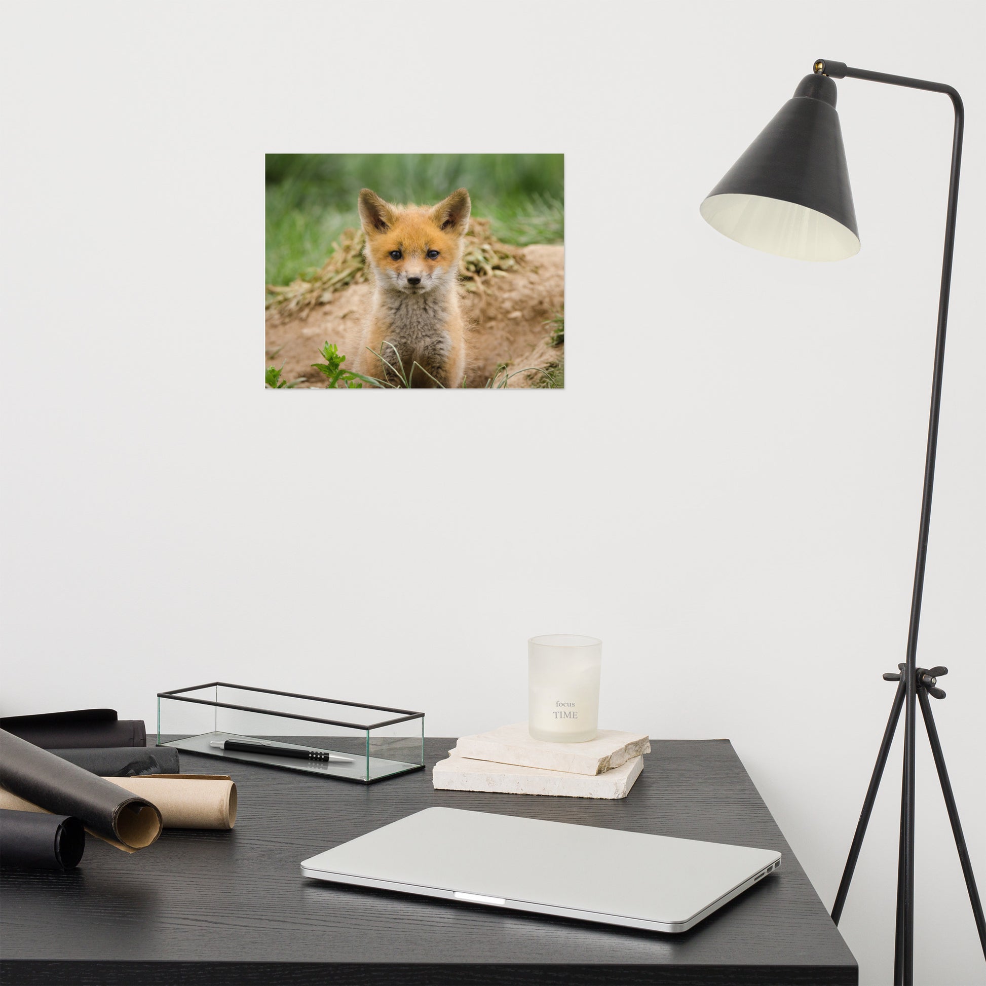 Bathroom Prints Ideas: Young Red Fox Kit - Animal / Wildlife / Nature Photograph Loose / Unframed / Frameless / Frameable Wall Art Print / Artwork
