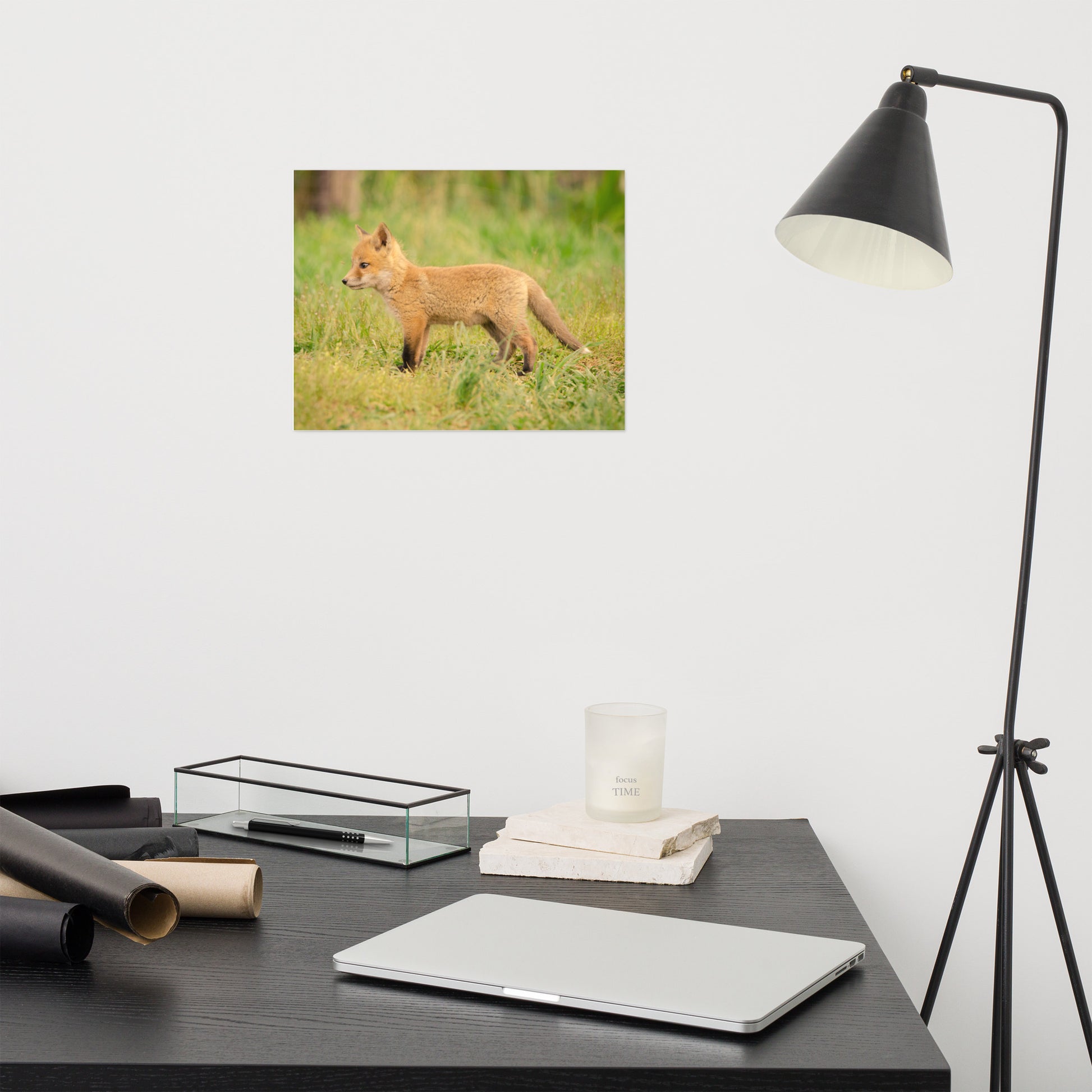 Gender Neutral Nursery Artwork: Fox Pup In Meadow - Animal / Wildlife / Nature Photograph Loose / Unframed / Frameless / Frameable Wall Art Print / Artwork