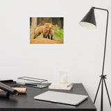 Baby Red Foxes Close to You Loose Wall Art Print