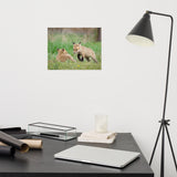 Baby Red Foxes Coming to Get You Loose Wall Art Print