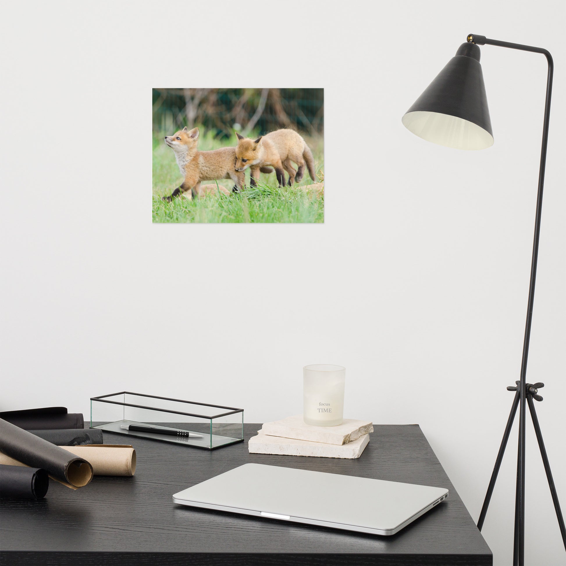 Pottery Barn Nursery Wall Decor: Playful Red Fox Pups In Field Animal / Wildlife Photograph Loose / Unframed / Frameless / Frameable Wall Art Prints