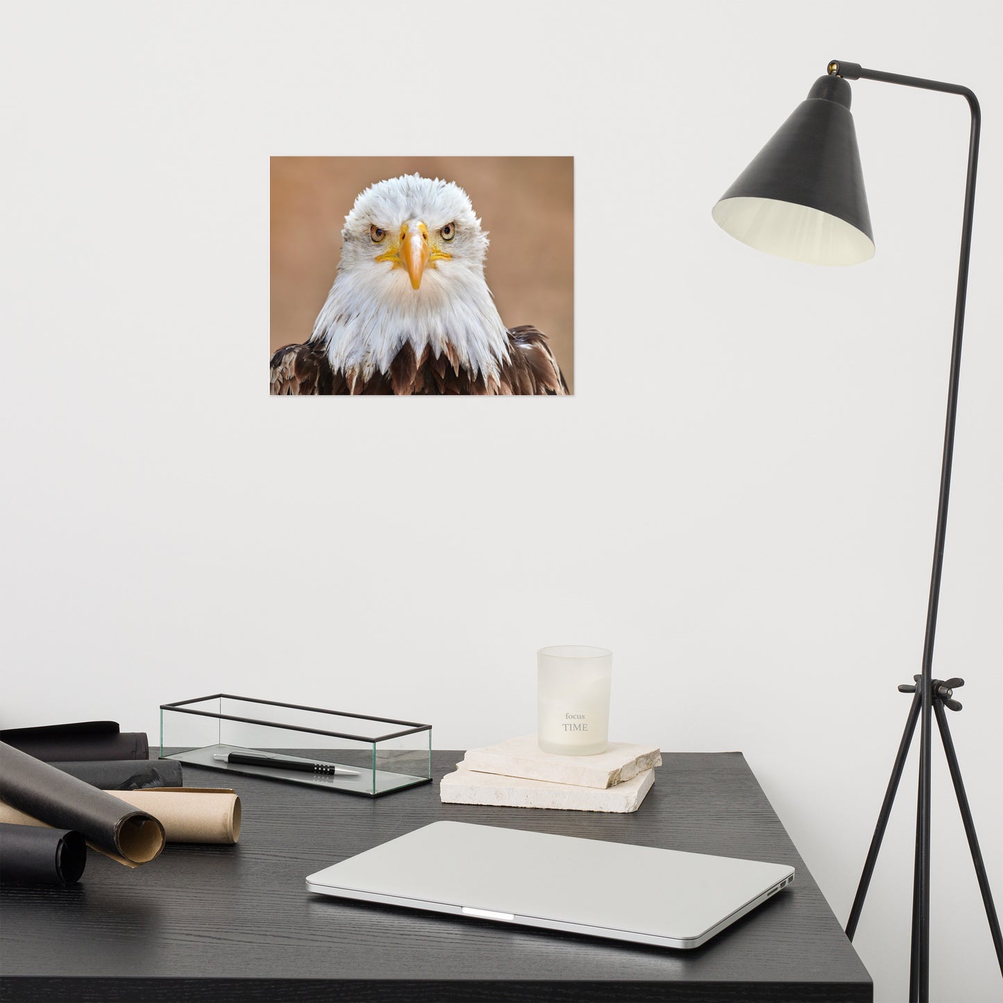 Bald Eagle Portrait Close-up 2 Loose Wall Art Print