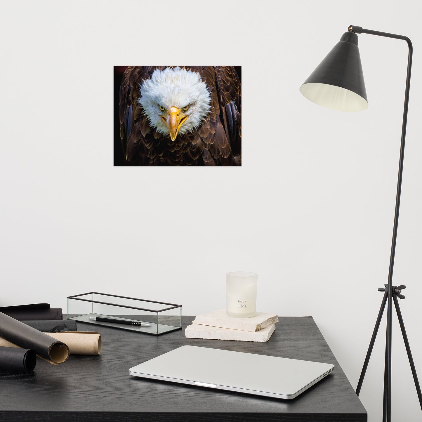 Bald Eagle Portrait Close-up Loose Wall Art Print