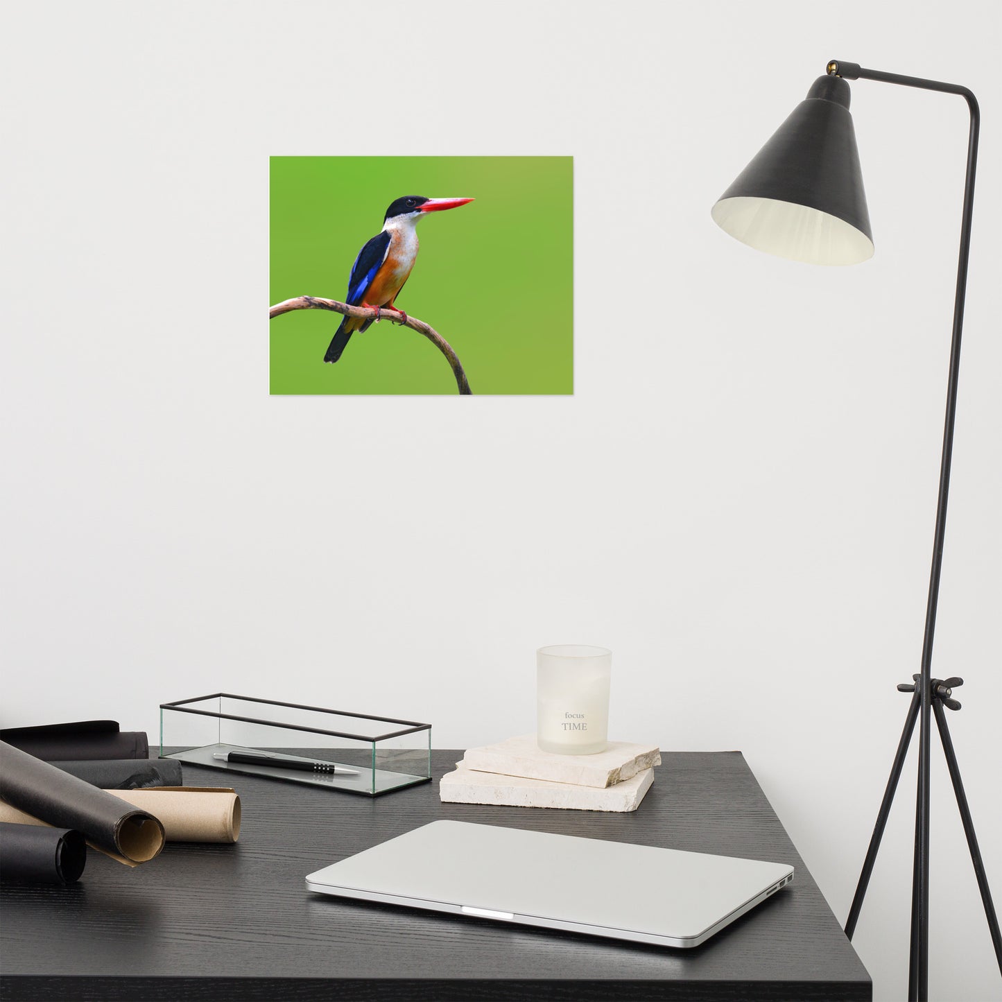 Black Capped Kingfisher Bird on Perch Loose Wall Art Print