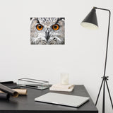 Close-up Yellow Owl Eyes Loose Wall Art Print