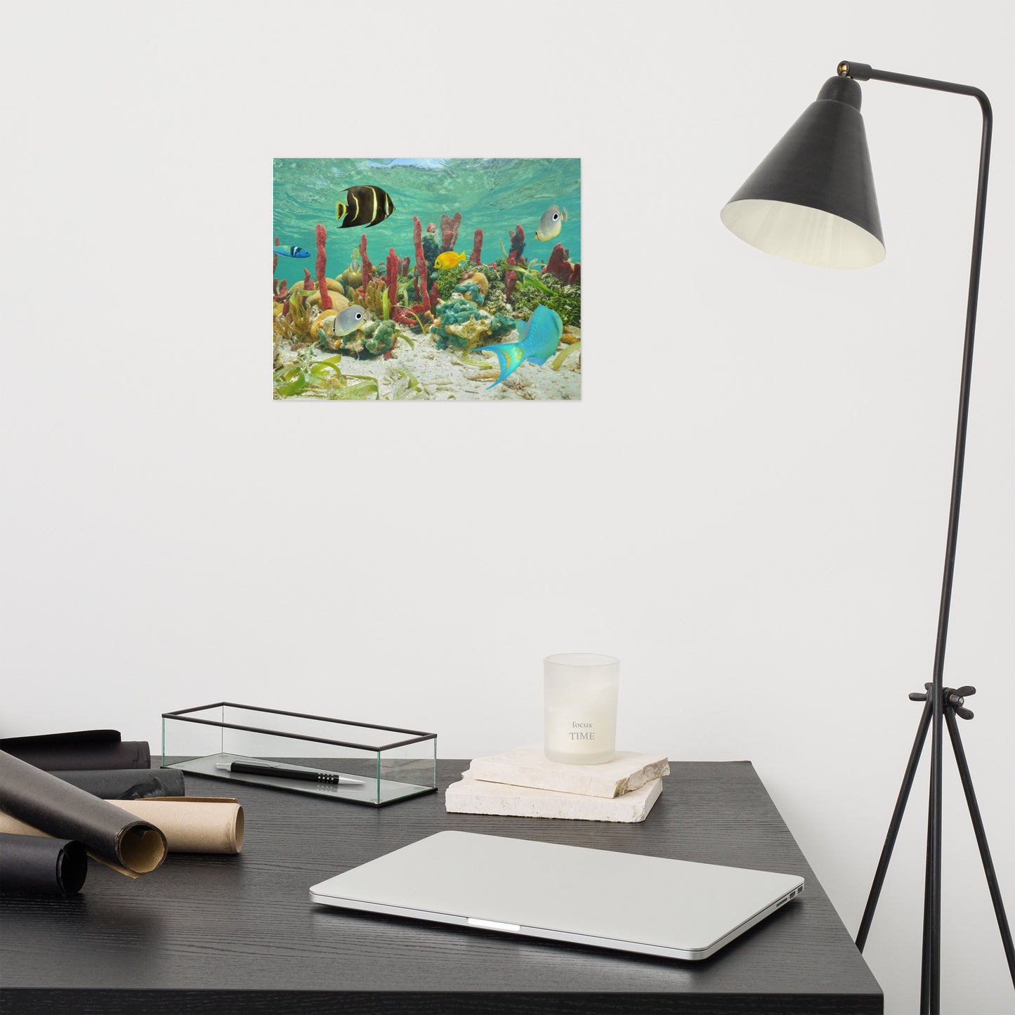 Colorful Tropical Fish - Animal Wildlife Photograph Loose Wall Art Print