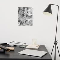 Dragonfly Black and White Loose Wall Art Print