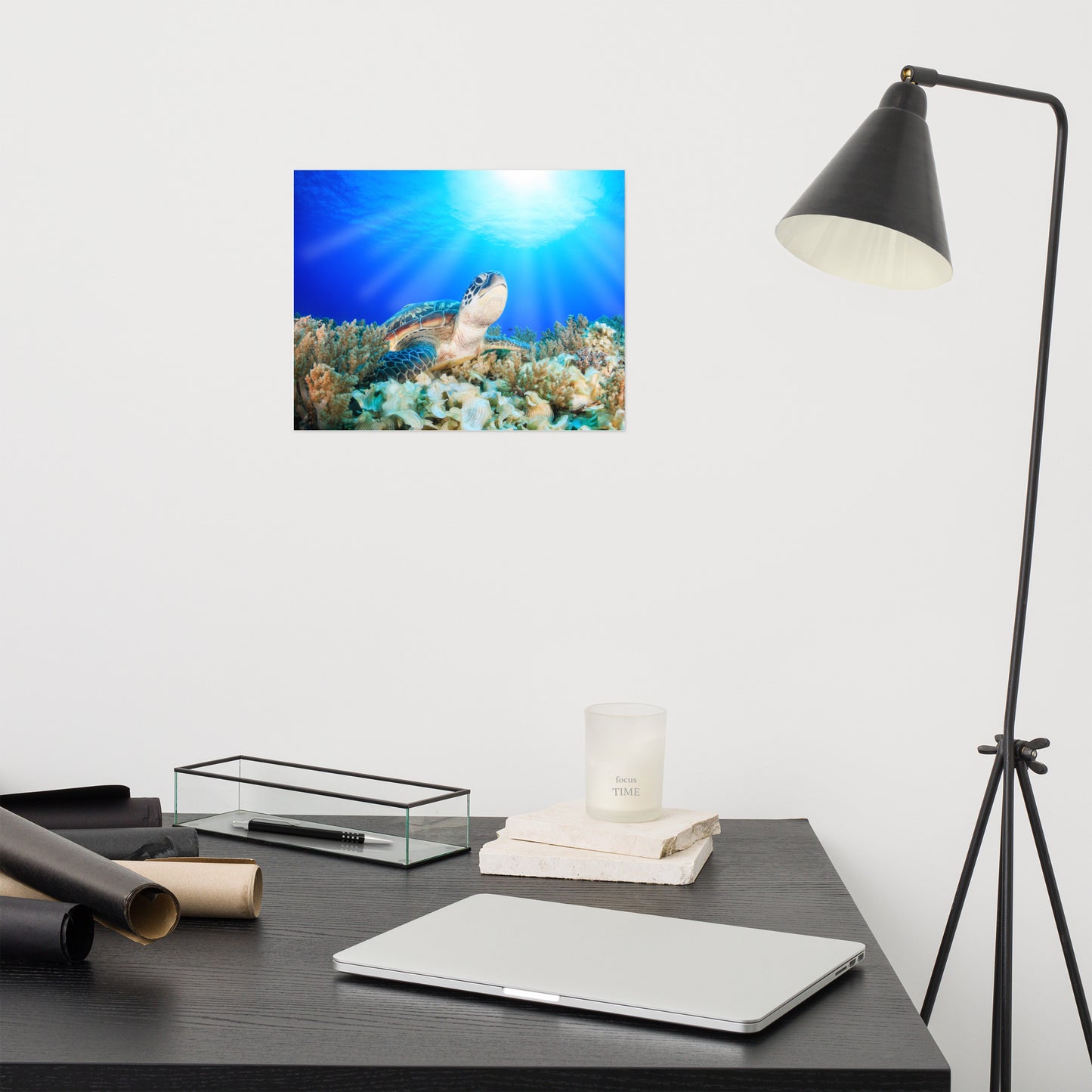 Green Sea Turtle In Tropical Coral Reef and Sunbeams Animal Wildlife Photograph Loose Wall Art Print