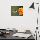 Hummingbird with Little Yellow-Orange Flowers Loose Wall Art Print