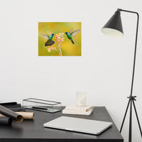 Hummingbirds with Little Pink Flowers Loose Wall Art Print
