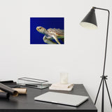 Sea Turtle 2 Loose Wall Art Print
