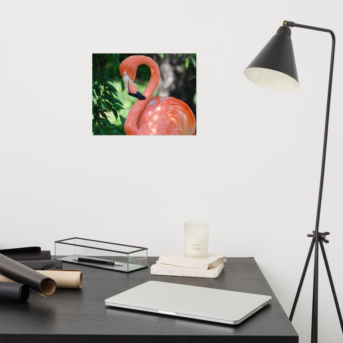 Pinky the Flamingo Coastal Bird Wildlife Photograph Loose Wall Art Print