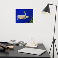 Sea Turtle 1 Loose Wall Art Print